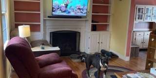 168 Highview Dr Gallery 11