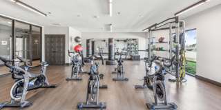 Terra at University North Park Gallery 16