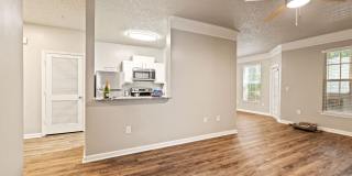 Olympus Fenwick Gallery 5