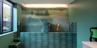 J VUE at the LMA Gallery 13