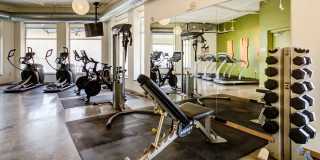 Student Housing - Solhaus Apartments & Tower Gallery 69