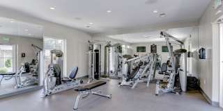 Hampton Manor Gallery 12