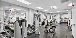 5500 FRIENDSHIP unit: 1509N 5500 FRIENDSHIP unit: 1509N Gallery 4