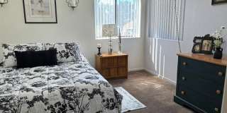 3730 Desert Marina Drive Gallery 9