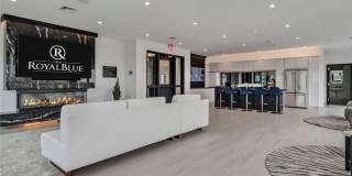 Royal Blue Gallery 13