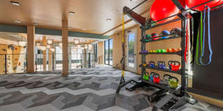 NOVEL Morrisville Gallery 40