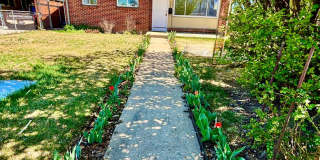 Remodeled Denver Park Hill 2-Bed Home Near City Park & Transit! Available Now!! Gallery 1