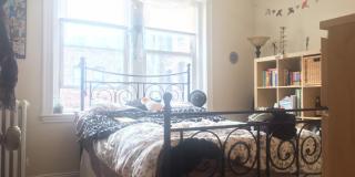 2 Bed - 10 Min Walk to BU!!! Gallery 8