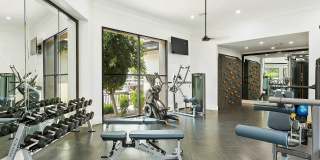 SolVida Central Gallery 18