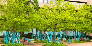 The Clark Gallery 54