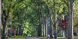 Camden Grandview Gallery 55