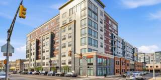 14 Ward St Gallery 1