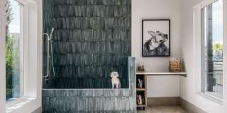Infield Apartments Gallery 66