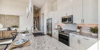 Alexan Montview Gallery 23