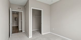 The Serene Gallery 19