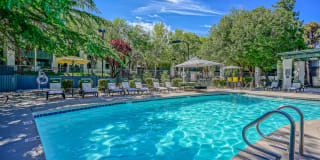 Treehouse Apartments Gallery 39