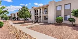 Falcon Court Gallery 10
