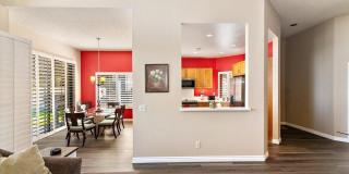54838 Oak Tree Gallery 16