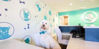 Torrey Gardens Gallery 22