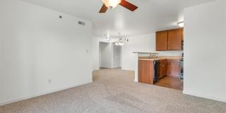 4200 Spring Creek Lane Gallery 4