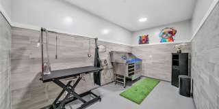 Royal Blue Gallery 16