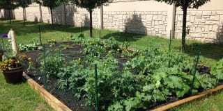 Sterling Commons Gallery 30