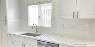 7010 Lanewood Avenue LLC Gallery 6