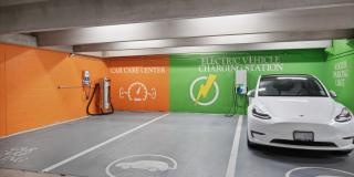 The Shelby - Alexandria Gallery 4