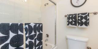 Colony Townhomes Gallery 147