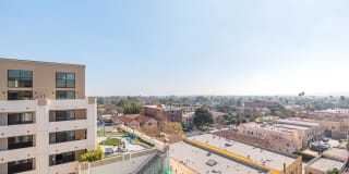 The Mansfield at Miracle Mile Gallery 87