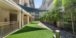 Alma on Maple Gallery 28