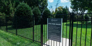 Richland Falls Gallery 9