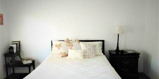 3060 Saddlewood Drive Gallery 1