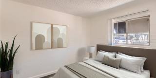 Rise Biltmore Gallery 50