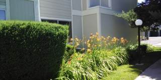 Springland Village Condo Gallery 1