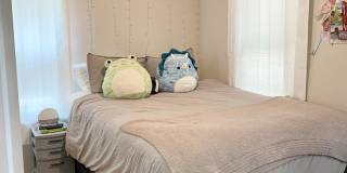 171 Thorndike Gallery 5