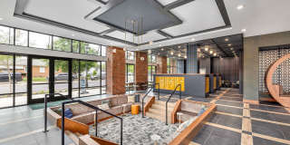 Ellison Museum District Gallery 20