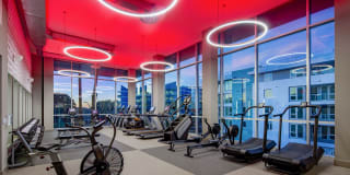 Neptune Marina Apartments Gallery 13