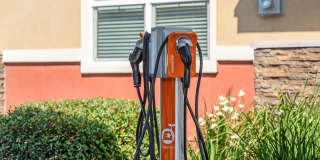 The Artisan Gallery 31