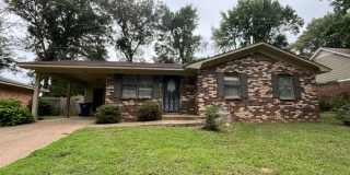 Renovated 3 Bedroom 1 Bath Home for Rent!! Gallery 1
