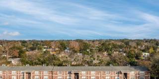 Sea Oats Sea Oats Gallery 11