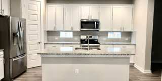 Spacious open floorplan with lots of light Gallery 1