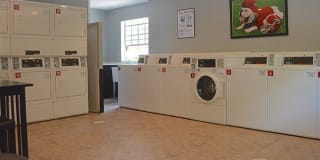 Cambridge Gallery 11