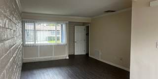 The Pines Apartments Gallery 21