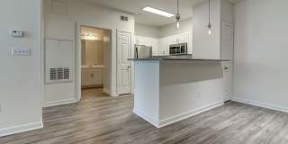 The Saulet Gallery 8