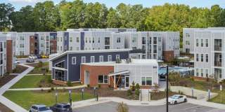 Bluebird on Seventy Gallery 33