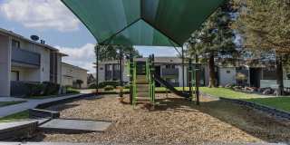 Portofino Gallery 35