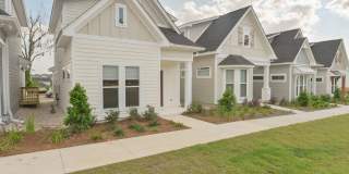 Beautiful New Construction 3/2.5 Home, Located off Centerville in Canopy Subdivision Gallery 4