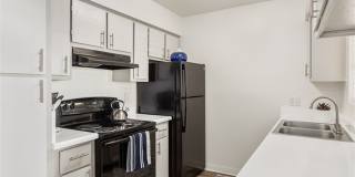 Rise Desert West Gallery 39