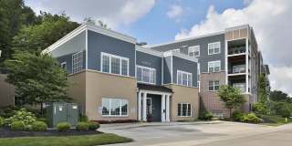 Element Oakwood Gallery 26